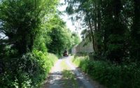 Country lane, County Carlow, Ireland