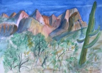 Box Canyon View