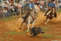Cotulla, Tx ranch rodeo