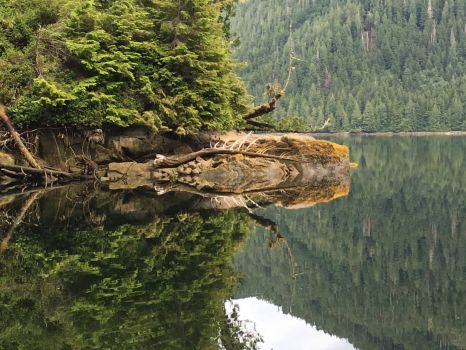 Solve Simoom Sound, Broughton Archipelago, BC, Canada jigsaw puzzle ...
