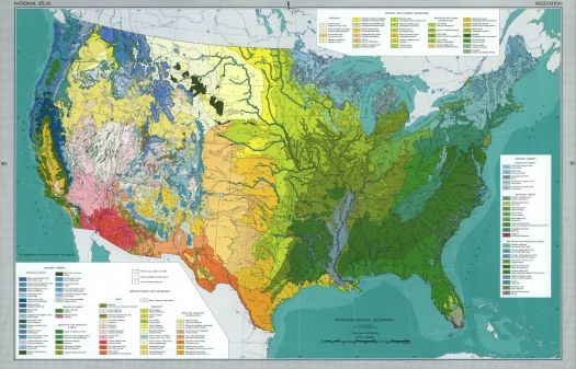 United States Vegetation Map 1970