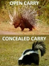 look out